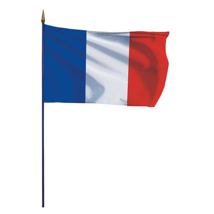 Drapeau de la France sur hampe - achat en ligne - DOUBLET
