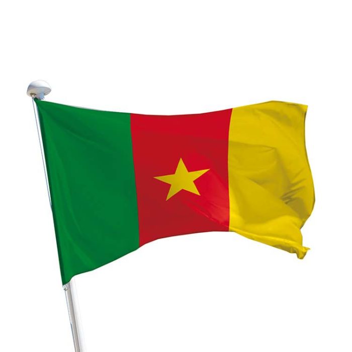 Le drapeau du Cameroun –